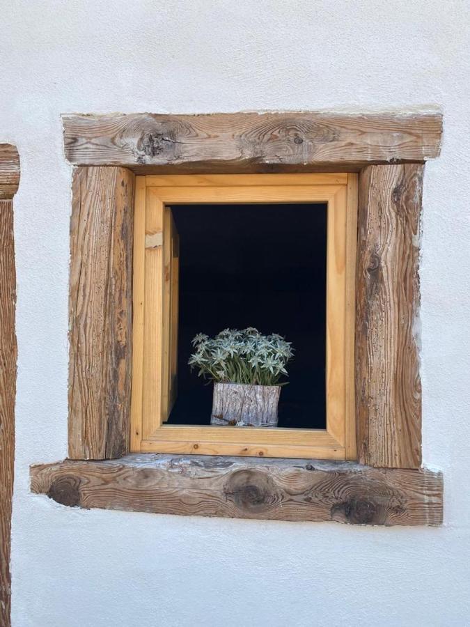 The Wooden House Apartment Valle di Cadore Luaran gambar
